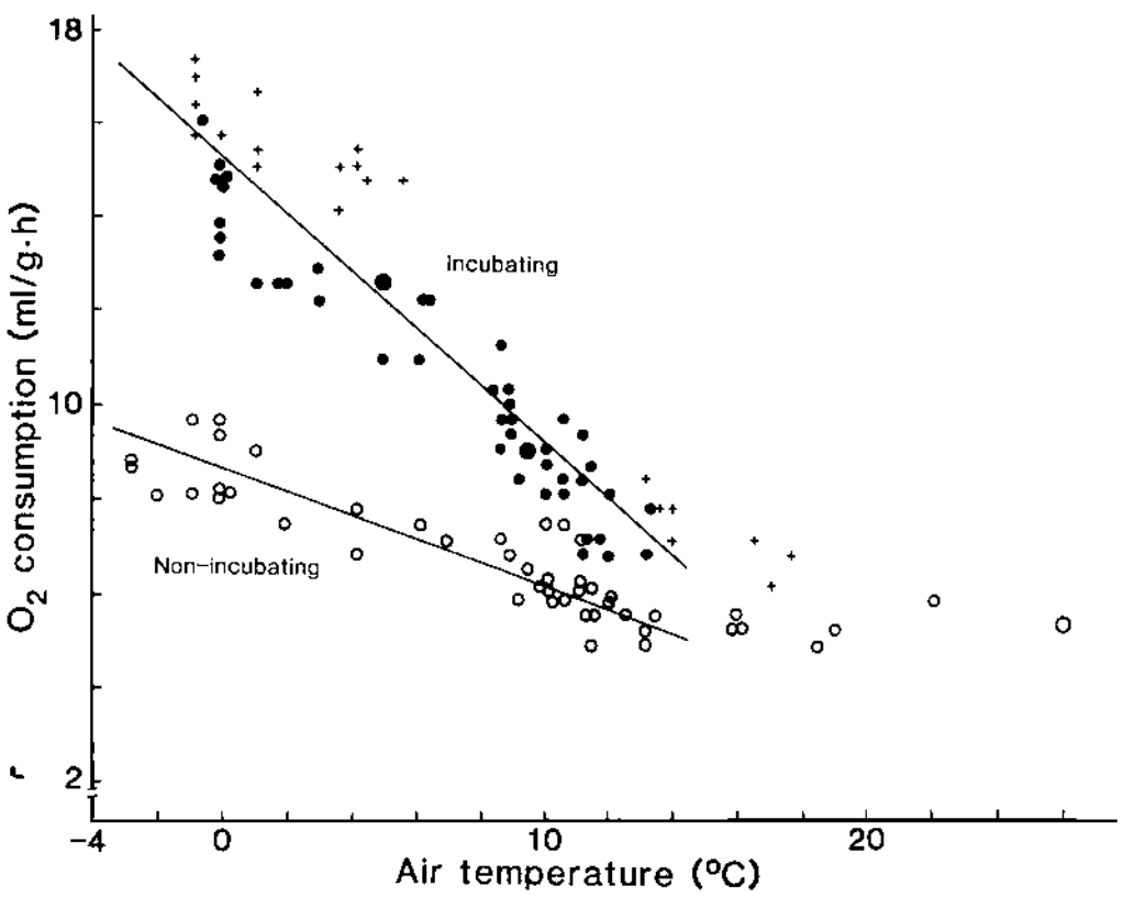 Haftorn and Reinertsen 1985 Scatterplot